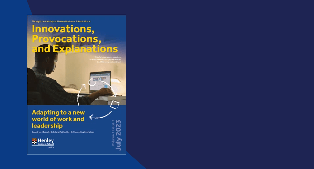 HBS Africa White Paper Series: Innovations, Provocations, and Explanations